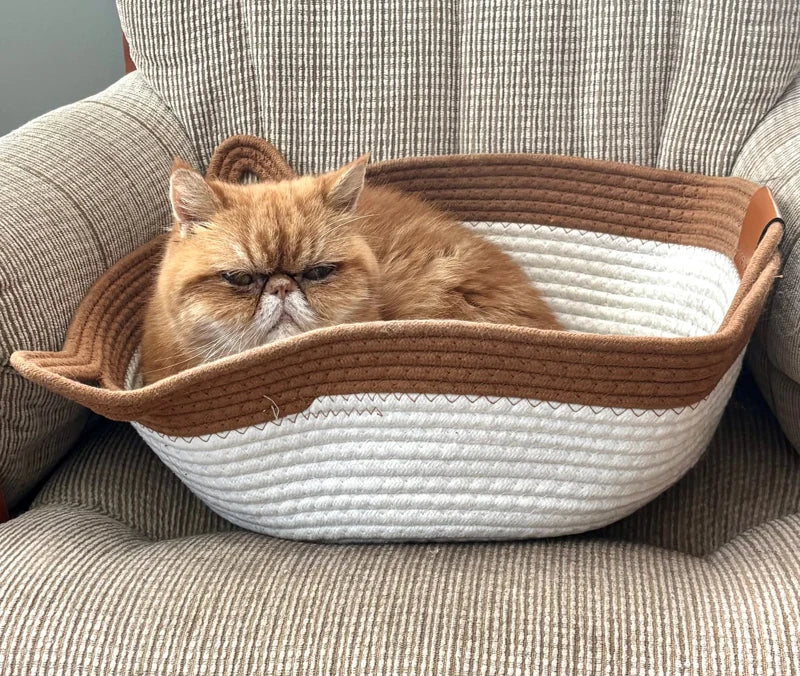 Nala