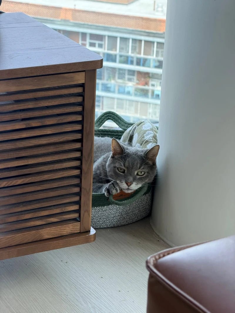 Simba