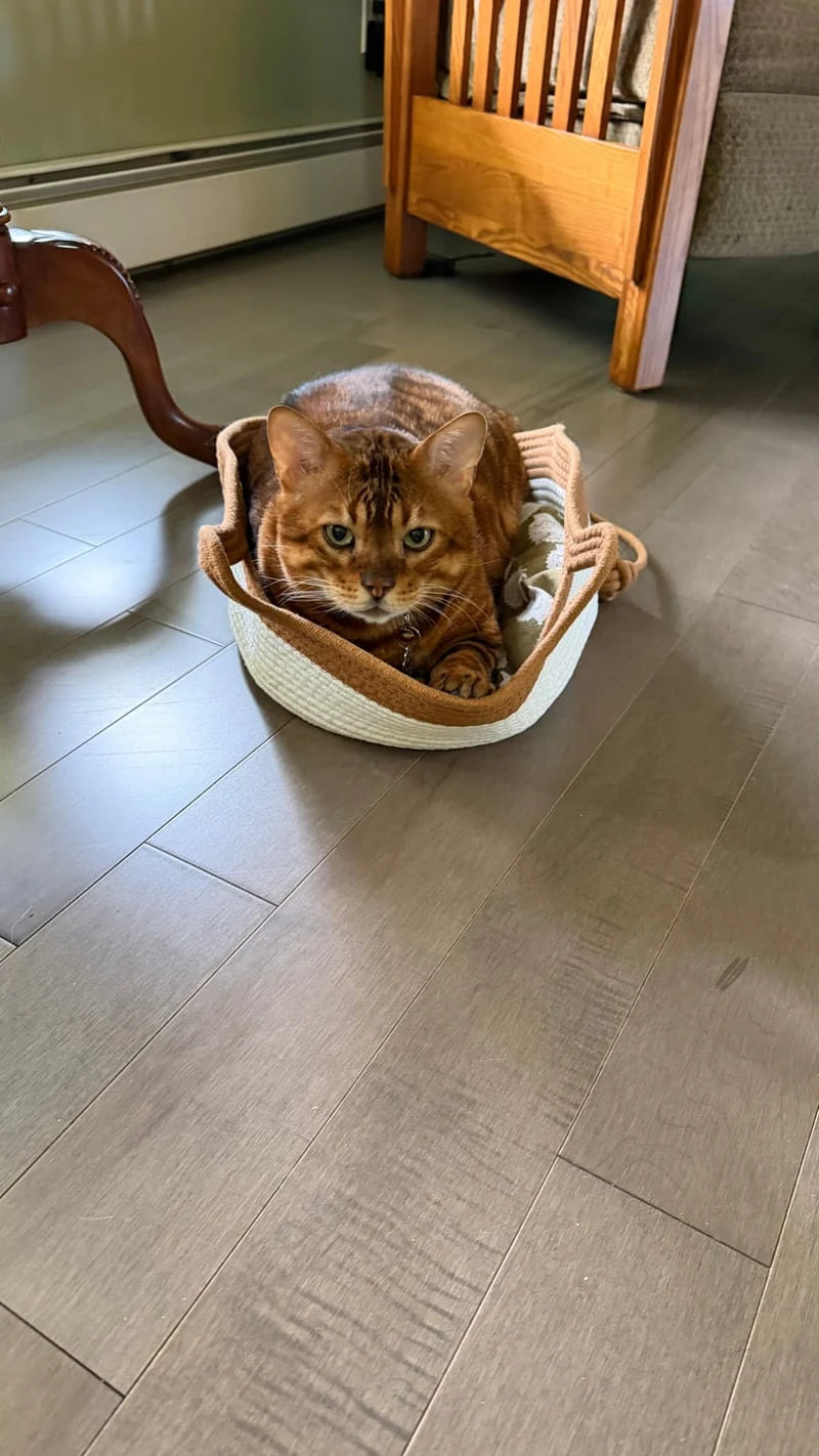 Oscar