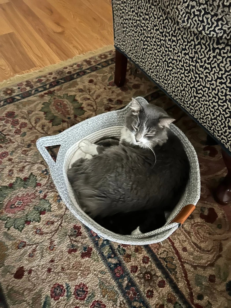 Mia