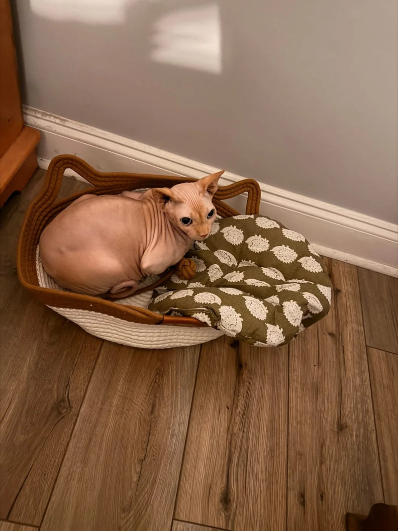 Nina