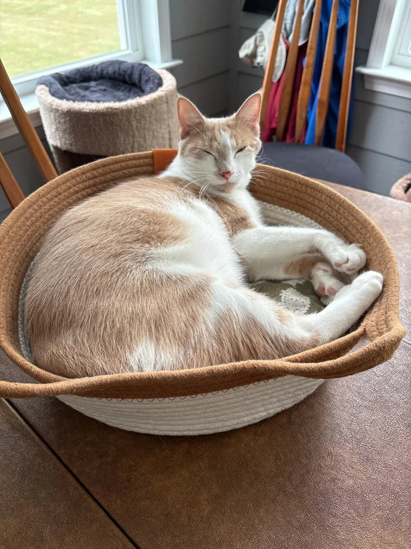 Zoe